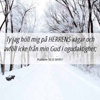 Picture 06 - Psaltaren 18:22 SV1917 - Ty jag höll mig på HERRENS vägar och avföll - Bible Verse Picture