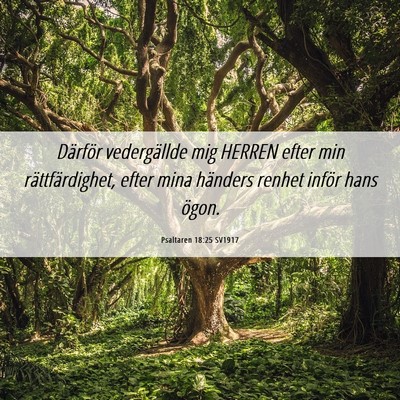 Picture 06 - Psaltaren 18:25 SV1917 - Därför vedergällde mig HERREN efter min - Bible Verse Picture