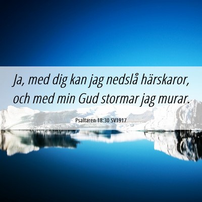 Picture 06 - Psaltaren 18:30 SV1917 - Ja, med dig kan jag nedslå härskaror, och med - Bible Verse Picture