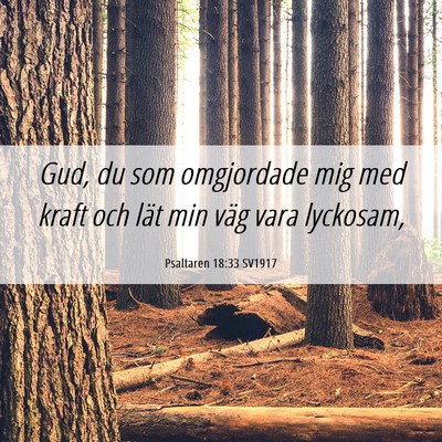 Picture 06 - Psaltaren 18:33 SV1917 - Gud, du som omgjordade mig med kraft och lät min - Bible Verse Picture