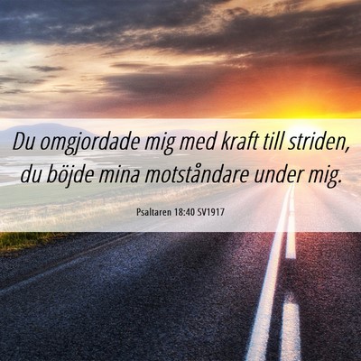 Picture 06 - Psaltaren 18:40 SV1917 - Du omgjordade mig med kraft till striden, du - Bible Verse Picture