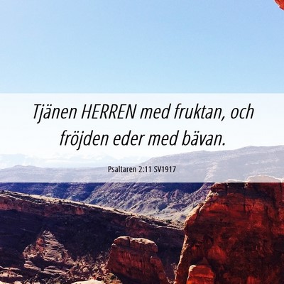 Picture 06 - Psaltaren 2:11 SV1917 - Tjänen HERREN med fruktan, och fröjden eder med - Bible Verse Picture