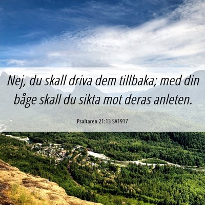 Picture 06 - Psaltaren 21:13 SV1917 - Nej, du skall driva dem tillbaka; med din båge - Bible Verse Picture