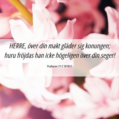 Picture 06 - Psaltaren 21:2 SV1917 - HERRE, över din makt gläder sig konungen; huru - Bible Verse Picture