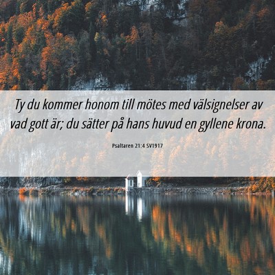 Picture 06 - Psaltaren 21:4 SV1917 - Ty du kommer honom till mötes med välsignelser - Bible Verse Picture