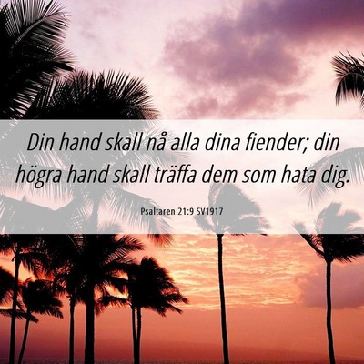 Picture 06 - Psaltaren 21:9 SV1917 - Din hand skall nå alla dina fiender; din högra - Bible Verse Picture