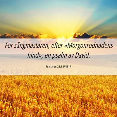Picture 06 - Psaltaren 22:1 SV1917 - För sångmästaren, efter »Morgonrodnadens - Bible Verse Picture