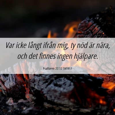 Picture 06 - Psaltaren 22:12 SV1917 - Var icke långt ifrån mig, ty nöd är nära, - Bible Verse Picture