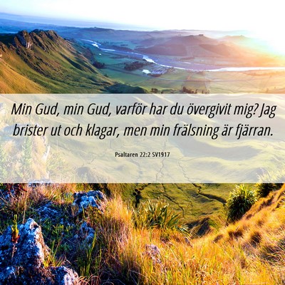 Picture 06 - Psaltaren 22:2 SV1917 - Min Gud, min Gud, varför har du övergivit mig? - Bible Verse Picture
