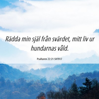 Picture 06 - Psaltaren 22:21 SV1917 - Rädda min själ från svärdet, mitt liv ur - Bible Verse Picture