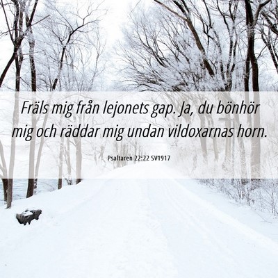 Picture 06 - Psaltaren 22:22 SV1917 - Fräls mig från lejonets gap. Ja, du bönhör - Bible Verse Picture
