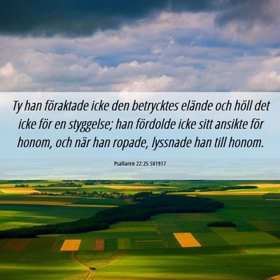 Picture 06 - Psaltaren 22:25 SV1917 - Ty han föraktade icke den betrycktes elände och - Bible Verse Picture