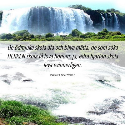 Picture 06 - Psaltaren 22:27 SV1917 - De ödmjuka skola äta och bliva mätta, de som - Bible Verse Picture