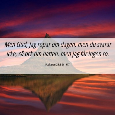 Picture 06 - Psaltaren 22:3 SV1917 - Men Gud, jag ropar om dagen, men du svarar icke, - Bible Verse Picture