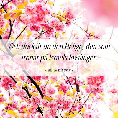 Picture 06 - Psaltaren 22:4 SV1917 - Och dock är du den Helige, den som tronar på - Bible Verse Picture