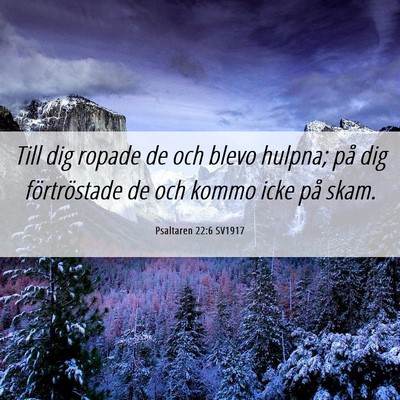 Picture 06 - Psaltaren 22:6 SV1917 - Till dig ropade de och blevo hulpna; på dig - Bible Verse Picture