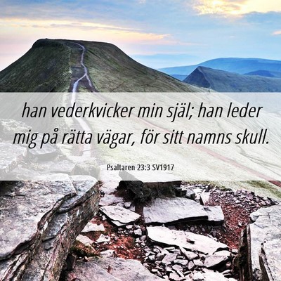 Picture 06 - Psaltaren 23:3 SV1917 - han vederkvicker min själ; han leder mig på - Bible Verse Picture