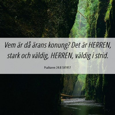 Picture 06 - Psaltaren 24:8 SV1917 - Vem är då ärans konung? Det är HERREN, stark - Bible Verse Picture