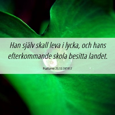 Picture 06 - Psaltaren 25:13 SV1917 - Han själv skall leva i lycka, och hans - Bible Verse Picture