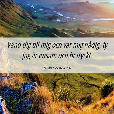 Picture 06 - Psaltaren 25:16 SV1917 - Vänd dig till mig och var mig nådig; ty jag är - Bible Verse Picture