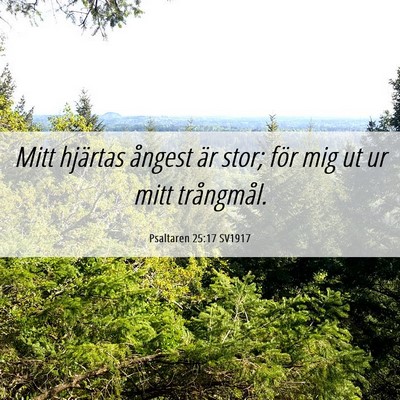 Picture 06 - Psaltaren 25:17 SV1917 - Mitt hjärtas ångest är stor; för mig ut ur - Bible Verse Picture