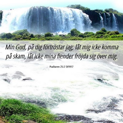 Picture 06 - Psaltaren 25:2 SV1917 - Min Gud, på dig förtröstar jag; låt mig icke - Bible Verse Picture