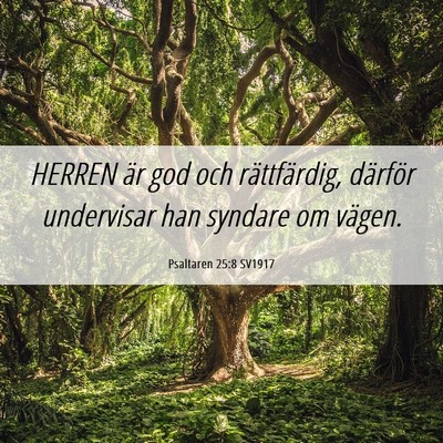 Picture 06 - Psaltaren 25:8 SV1917 - HERREN är god och rättfärdig, därför - Bible Verse Picture