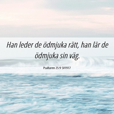 Picture 06 - Psaltaren 25:9 SV1917 - Han leder de ödmjuka rätt, han lär de ödmjuka - Bible Verse Picture