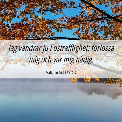 Picture 06 - Psaltaren 26:11 SV1917 - Jag vandrar ju i ostrafflighet; förlossa mig och - Bible Verse Picture