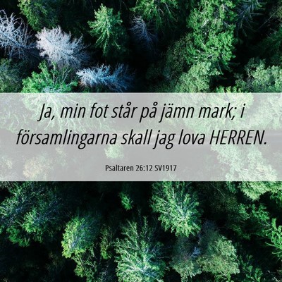 Picture 06 - Psaltaren 26:12 SV1917 - Ja, min fot står på jämn mark; i - Bible Verse Picture