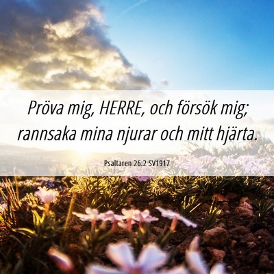 Picture 06 - Psaltaren 26:2 SV1917 - Pröva mig, HERRE, och försök mig; rannsaka - Bible Verse Picture