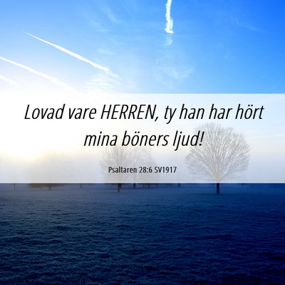 Picture 06 - Psaltaren 28:6 SV1917 - Lovad vare HERREN, ty han har hört mina böners - Bible Verse Picture