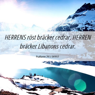 Picture 06 - Psaltaren 29:5 SV1917 - HERRENS röst bräcker cedrar, HERREN bräcker - Bible Verse Picture