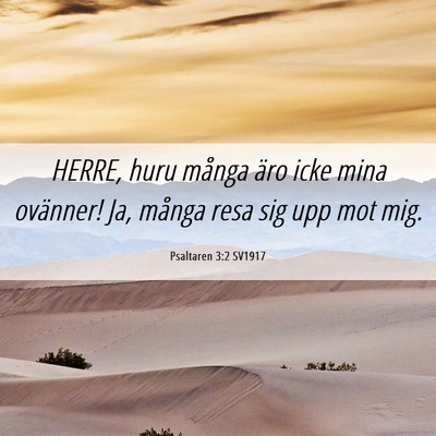 Picture 06 - Psaltaren 3:2 SV1917 - HERRE, huru många äro icke mina ovänner! Ja, - Bible Verse Picture