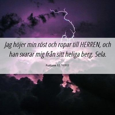 Picture 06 - Psaltaren 3:5 SV1917 - Jag höjer min röst och ropar till HERREN, och - Bible Verse Picture