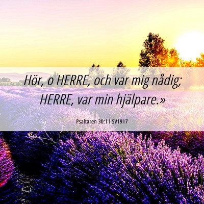 Picture 06 - Psaltaren 30:11 SV1917 - Hör, o HERRE, och var mig nådig; HERRE, var min - Bible Verse Picture