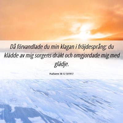 Picture 06 - Psaltaren 30:12 SV1917 - Då förvandlade du min klagan i fröjdesprång; - Bible Verse Picture