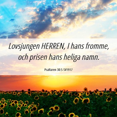 Picture 06 - Psaltaren 30:5 SV1917 - Lovsjungen HERREN, I hans fromme, och prisen hans - Bible Verse Picture