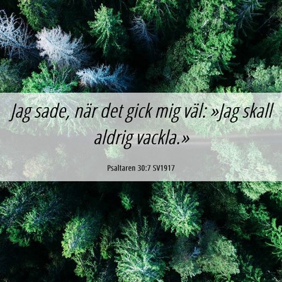 Picture 06 - Psaltaren 30:7 SV1917 - Jag sade, när det gick mig väl: »Jag skall - Bible Verse Picture