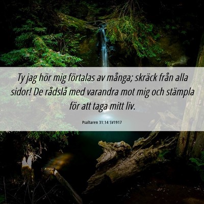 Picture 06 - Psaltaren 31:14 SV1917 - Ty jag hör mig förtalas av många; skräck - Bible Verse Picture
