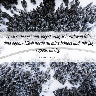 Picture 06 - Psaltaren 31:23 SV1917 - Ty väl sade jag i min ångest: »Jag är - Bible Verse Picture