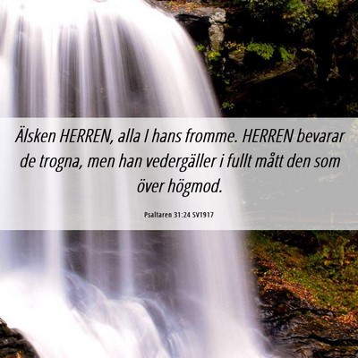 Picture 06 - Psaltaren 31:24 SV1917 - Älsken HERREN, alla I hans fromme. HERREN - Bible Verse Picture