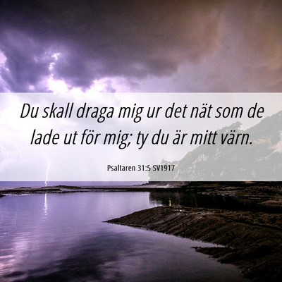 Picture 06 - Psaltaren 31:5 SV1917 - Du skall draga mig ur det nät som de lade ut - Bible Verse Picture