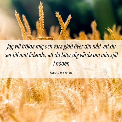 Picture 06 - Psaltaren 31:8 SV1917 - Jag vill fröjda mig och vara glad över din - Bible Verse Picture