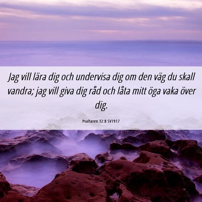 Picture 06 - Psaltaren 32:8 SV1917 - Jag vill lära dig och undervisa dig om den väg - Bible Verse Picture