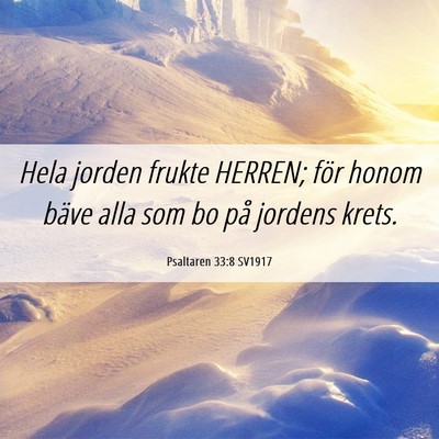 Picture 06 - Psaltaren 33:8 SV1917 - Hela jorden frukte HERREN; för honom bäve alla - Bible Verse Picture