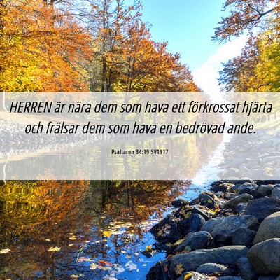 Picture 06 - Psaltaren 34:19 SV1917 - HERREN är nära dem som hava ett förkrossat - Bible Verse Picture