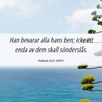 Picture 06 - Psaltaren 34:21 SV1917 - Han bevarar alla hans ben; icke ett enda av dem - Bible Verse Picture
