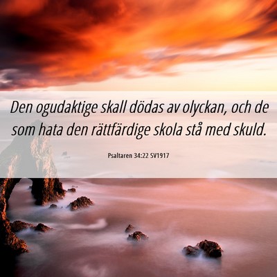 Picture 06 - Psaltaren 34:22 SV1917 - Den ogudaktige skall dödas av olyckan, och de - Bible Verse Picture