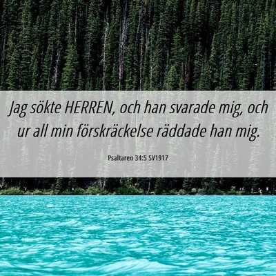 Picture 06 - Psaltaren 34:5 SV1917 - Jag sökte HERREN, och han svarade mig, och ur - Bible Verse Picture